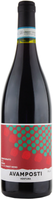 Avamposti Pinot Nero ‘Ventura’ 2020